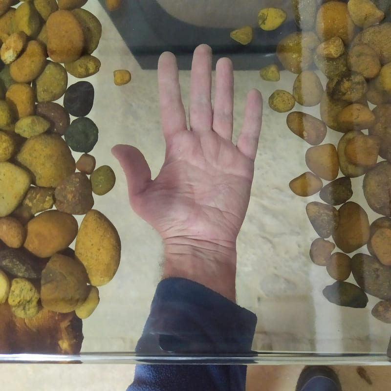 Стол из слэба карагача с прозрачной рекой, декорированной камнями